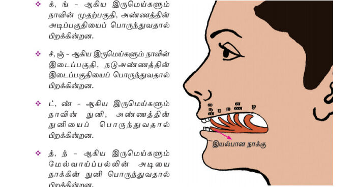 Hey Pandas, Share A Few Horrifying Or Weird Pictures From School Textbooks (Closed)