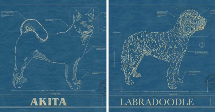 Here Are 5 Pics Of Dog Blueprint Art