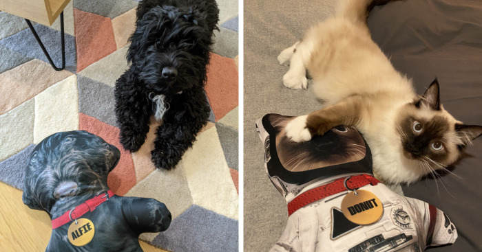 I Make Personalized Dolls Of Your Pets And The Results Are Totally Adorable