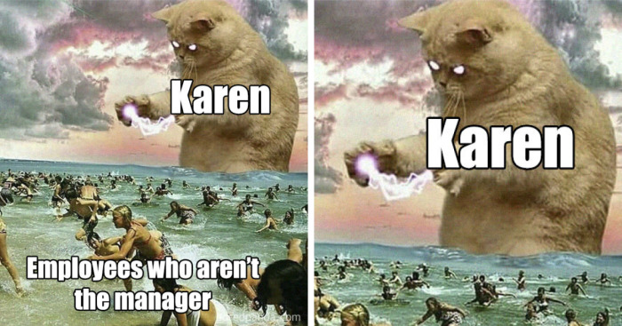Hey Pandas, Post A Funny Karen Meme (Closed)