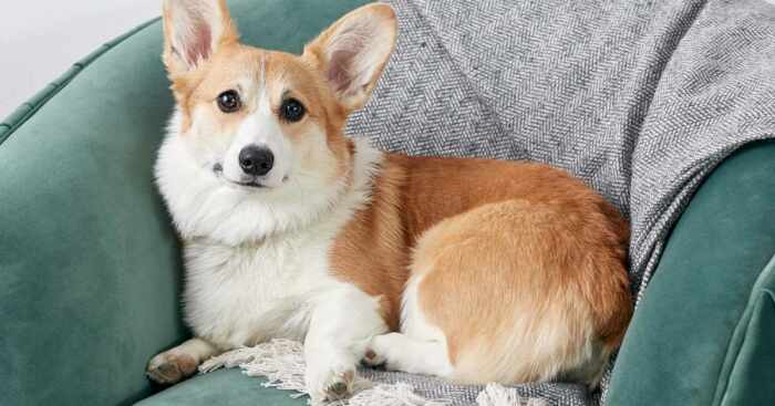 Hey Pandas, Find A Wholesome Pic And Create And Caption To Make Is Dark (Closed)