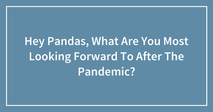 Hey Pandas, What Are You Most Looking Forward To After The Pandemic? (Closed)