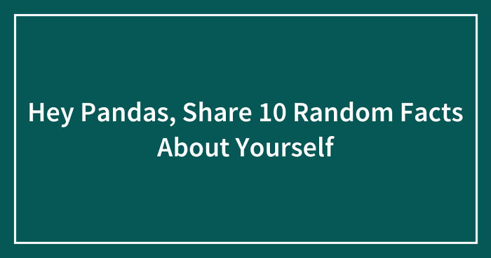 Hey Pandas, Share 10 Random Facts About Yourself (Closed)