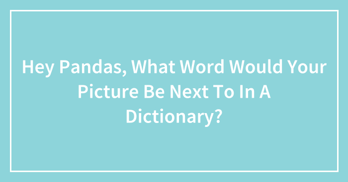 Hey Pandas, What Word Would Your Picture Be Next To In A Dictionary? (Closed)