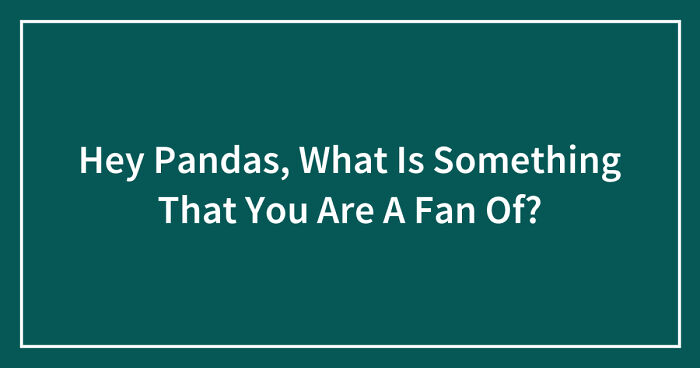 Hey Pandas, What Is Something That You Are A Fan Of? (Closed)
