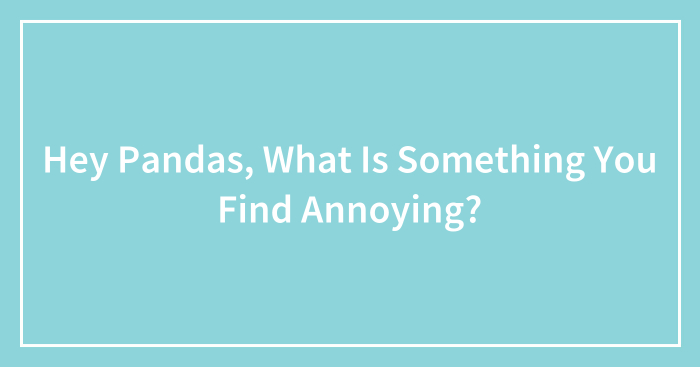 Hey Pandas, What Is Something You Find Annoying?