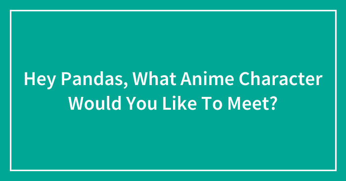 Hey Pandas, What Anime Character Would You Like To Meet? (Closed)