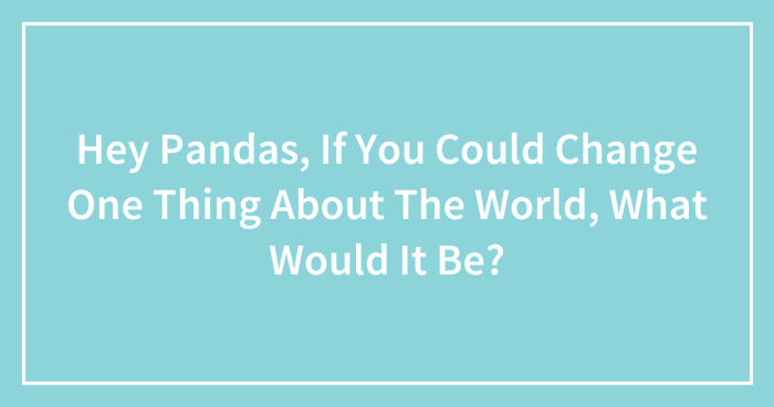 Hey Pandas, If You Could Change One Thing About The World, What Would It Be? (Closed)
