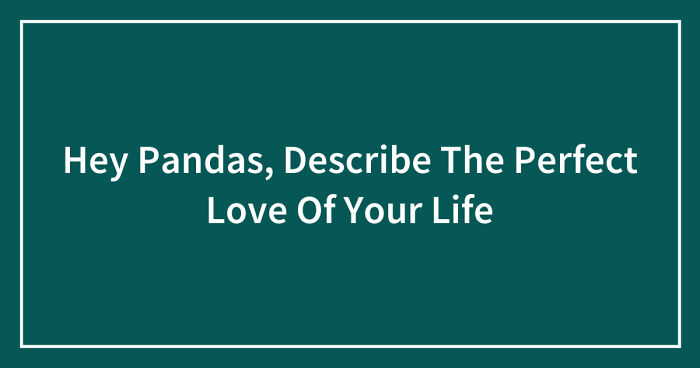 Hey Pandas, Describe The Perfect Love Of Your Life (Closed)