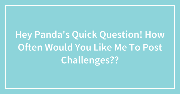 Hey Panda’s Quick Question! How Often Would You Like Me To Post Challenges??