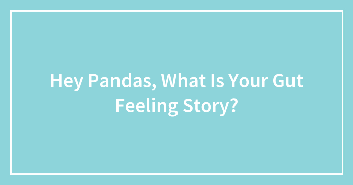 Hey Pandas, What Is Your Gut Feeling Story? (Closed)