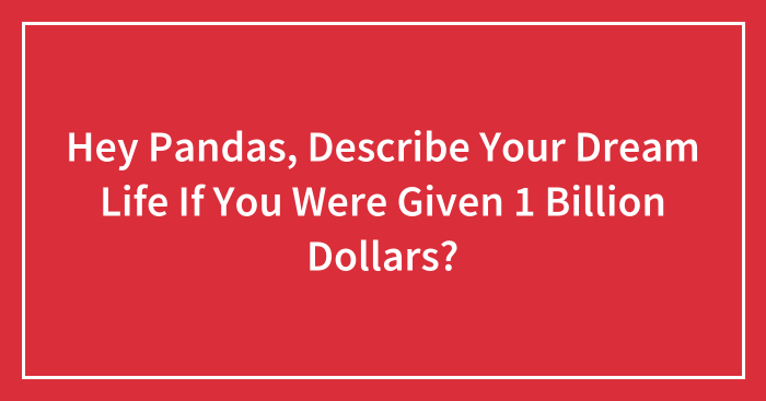 Hey Pandas, Describe Your Dream Life If You Were Given 1 Billion Dollars? (Closed)
