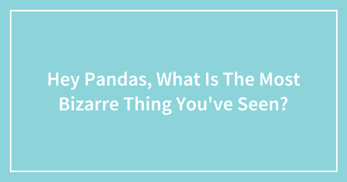 Hey Pandas, What Is The Most Bizarre Thing You’ve Seen? (Closed)