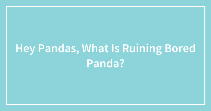 Hey Pandas, What Is Ruining Bored Panda? (Closed)