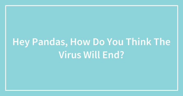Hey Pandas, How Do You Think The Virus Will End? (Closed)
