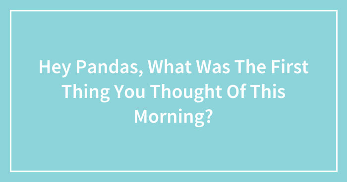Hey Pandas, What Was The First Thing You Thought Of This Morning? (Closed)