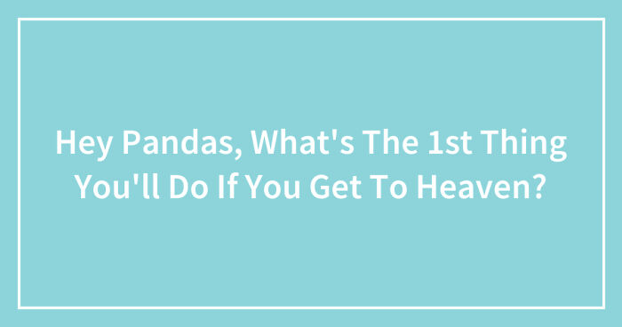 Hey Pandas, What’s The 1st Thing You’ll Do If You Get To Heaven? (Closed)