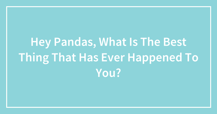 Hey Pandas, What Is The Best Thing That Has Ever Happened To You?
