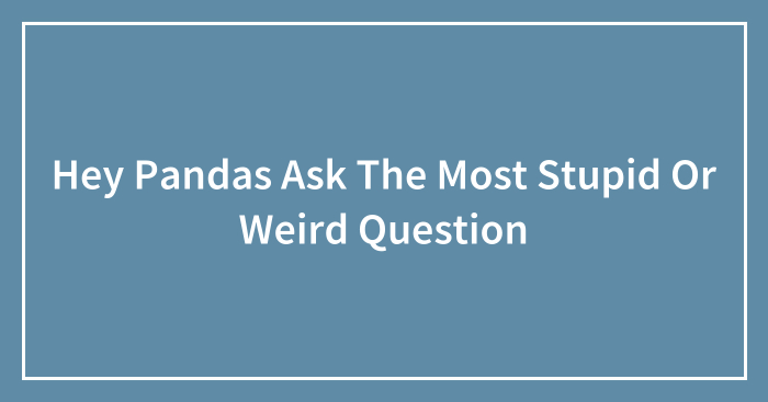 Hey Pandas Ask The Most Stupid Or Weird Question