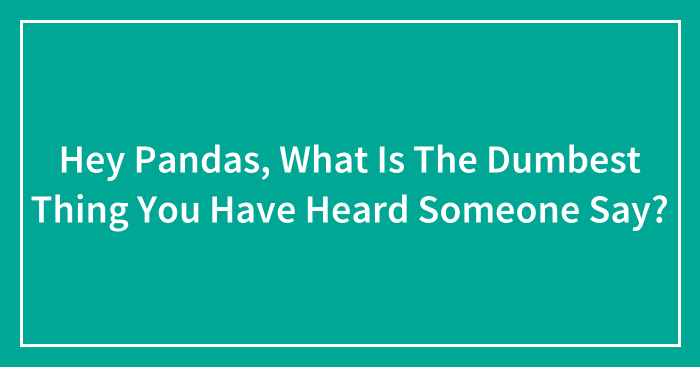 Hey Pandas, What Is The Dumbest Thing You Have Heard Someone Say?