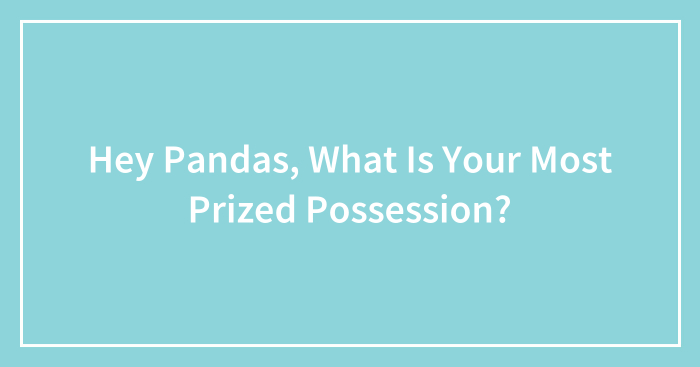 Hey Pandas, What Is Your Most Prized Possession? (Closed)
