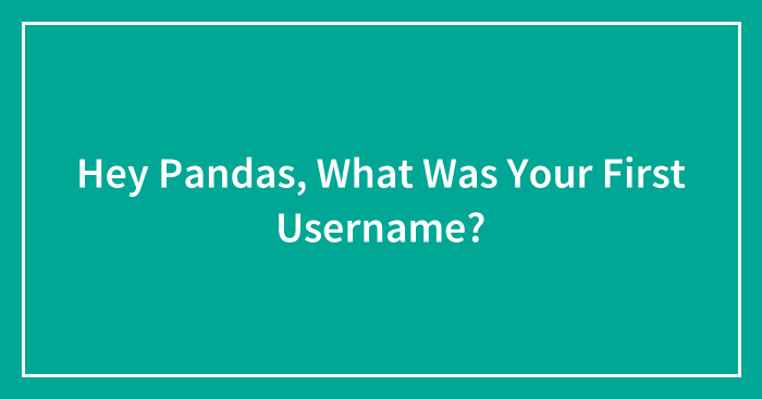 Hey Pandas, What Was Your First Username? (Closed)