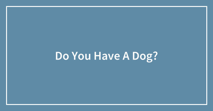 Do You Have A Dog?