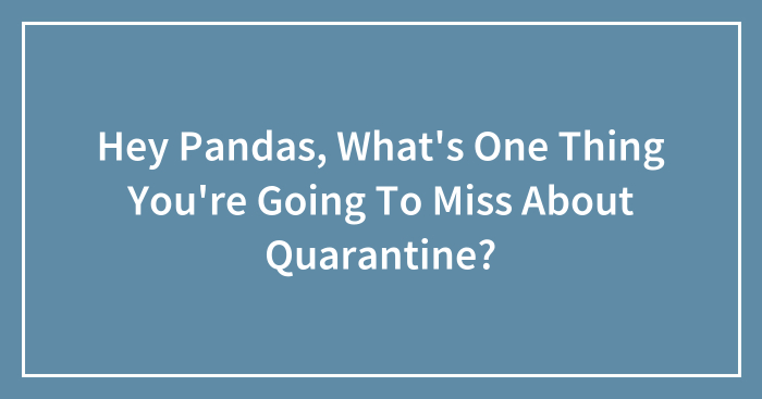 Hey Pandas, What’s One Thing You’re Going To Miss About Quarantine?