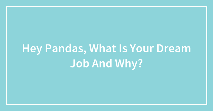 Hey Pandas, What Is Your Dream Job And Why? (Closed)