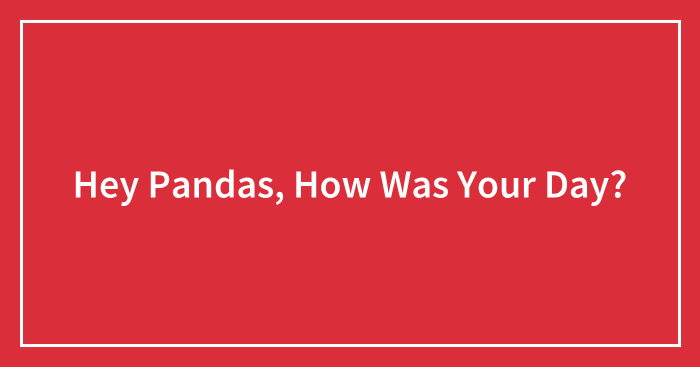 Hey Pandas, How Was Your Day? (Closed)