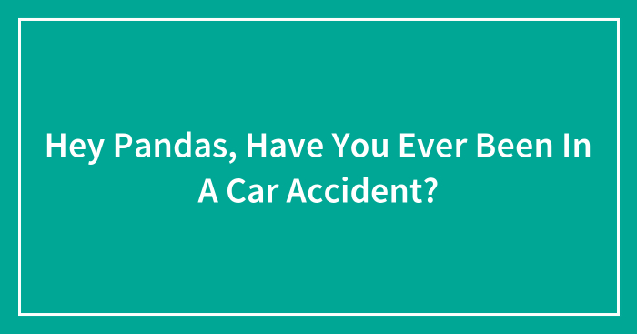 Hey Pandas, Have You Ever Been In A Car Accident? (Closed)