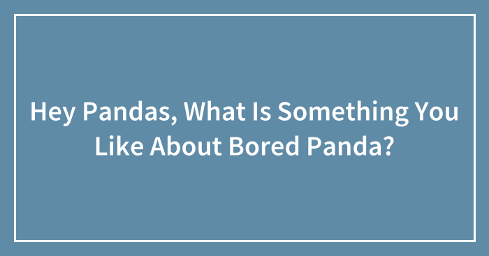 Hey Pandas, What Is Something You Like About Bored Panda? (Closed)