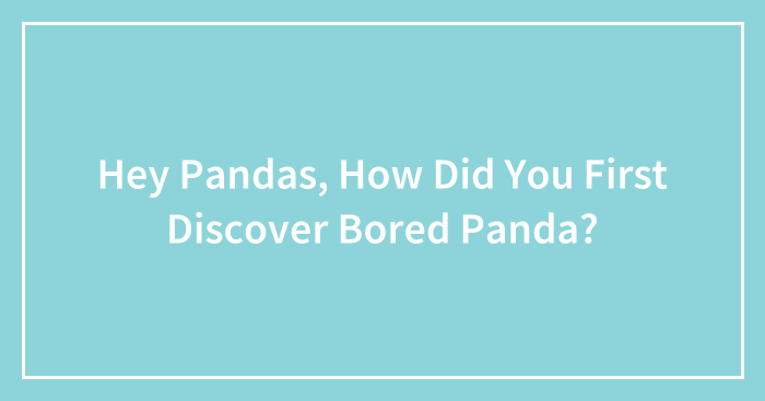 Hey Pandas, How Did You First Discover Bored Panda? (Closed)