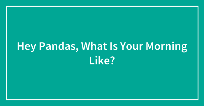 Hey Pandas, What Is Your Morning Like? (Closed)