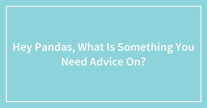 Hey Pandas, What Is Something You Need Advice On? (Closed)
