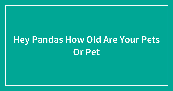 Hey Pandas How Old Are Your Pets Or Pet