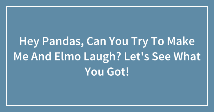 Hey Pandas, Can You Try To Make Me And Elmo Laugh? Let’s See What You Got!