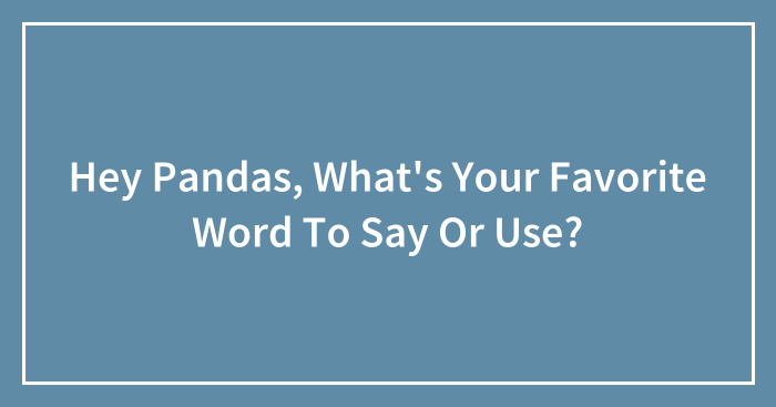 Hey Pandas, What’s Your Favorite Word To Say Or Use? (Closed)