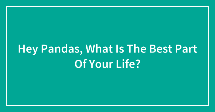 Hey Pandas, What Is The Best Part Of Your Life? (Closed)