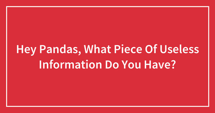 Hey Pandas, What Piece Of Useless Information Do You Have? (Closed)
