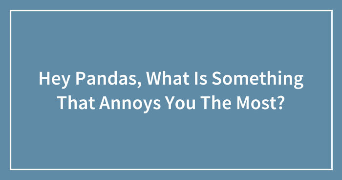 Hey Pandas, What Is Something That Annoys You The Most? (Closed)