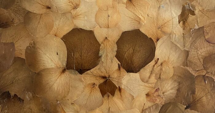I Use Flower Petals Instead Of Paint To Create Artworks Inspired By The Human Connection With Nature