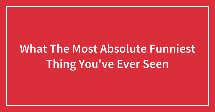 What The Most Absolute Funniest Thing You’ve Ever Seen