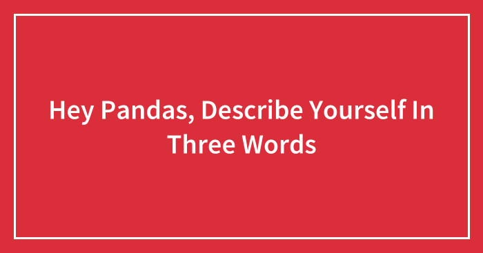 Hey Pandas, Describe Yourself In Three Words (Closed)