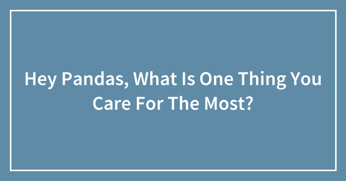 Hey Pandas, What Is One Thing You Care For The Most? (Closed)