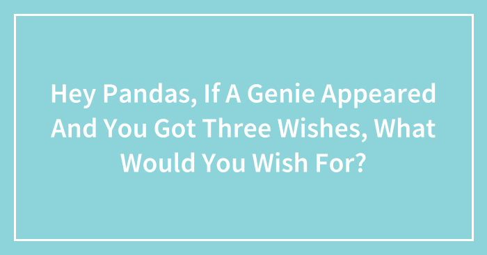 Hey Pandas, If A Genie Appeared And You Got Three Wishes, What Would You Wish For? (Closed)