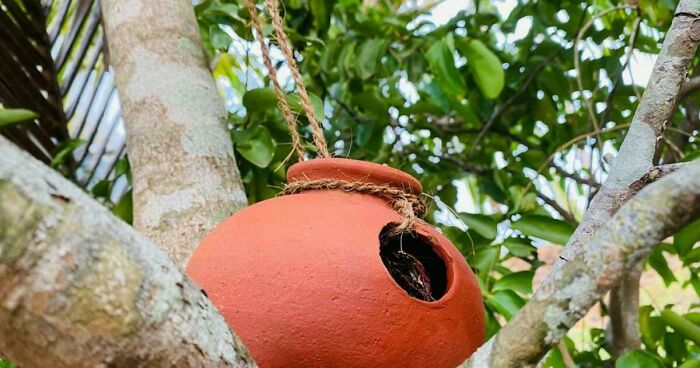 I Discovered The Beauty That’s Around Us (7 Pics)