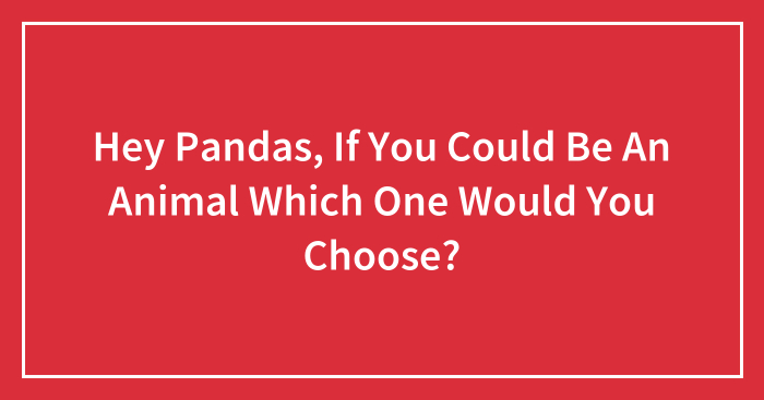 Hey Pandas, If You Could Be An Animal Which One Would You Choose? (Closed)