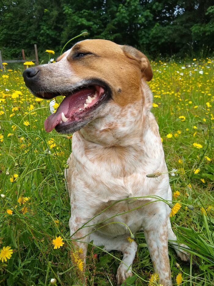 Soaking In The Sunshine