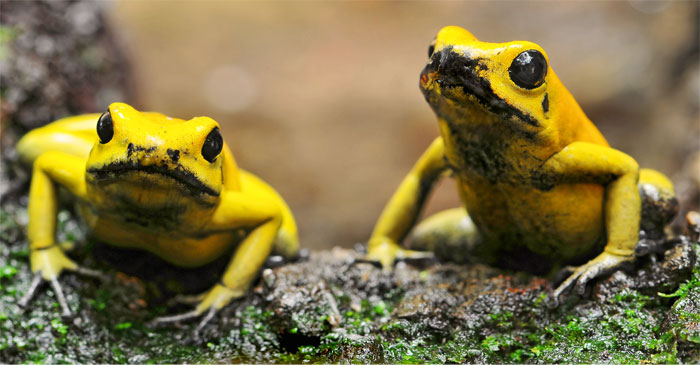 40 Women Shared The Smoothest Flirting Techniques That They Fell For